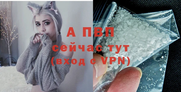 spice Бородино