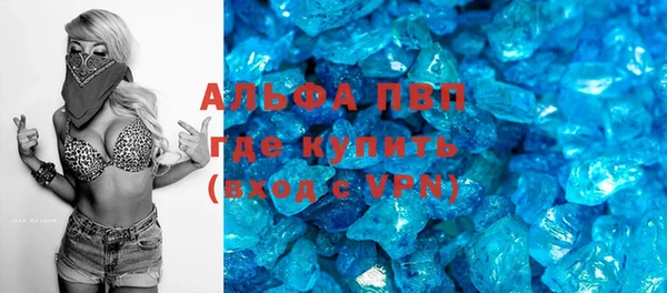 spice Бородино