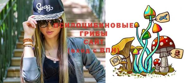 2c-b Бронницы