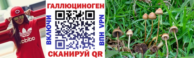 Псилоцибиновые грибы Magic Shrooms  Кинель 